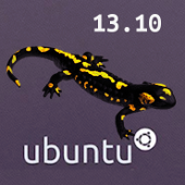 Ubuntu 13.10 Image